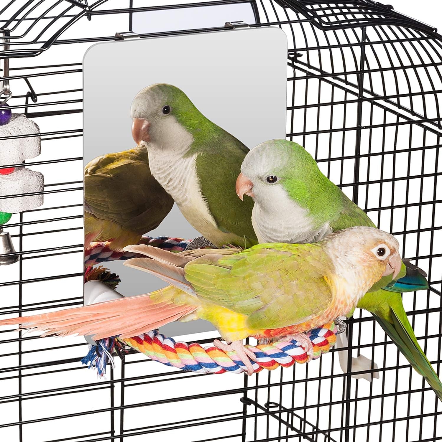 7 Inch Stainless Steel Bird Mirror with Rope Perch, Bird Toys Swing